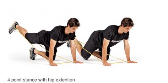 Power Bands bird dog